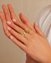 Conjunto de Anéis Torcidos